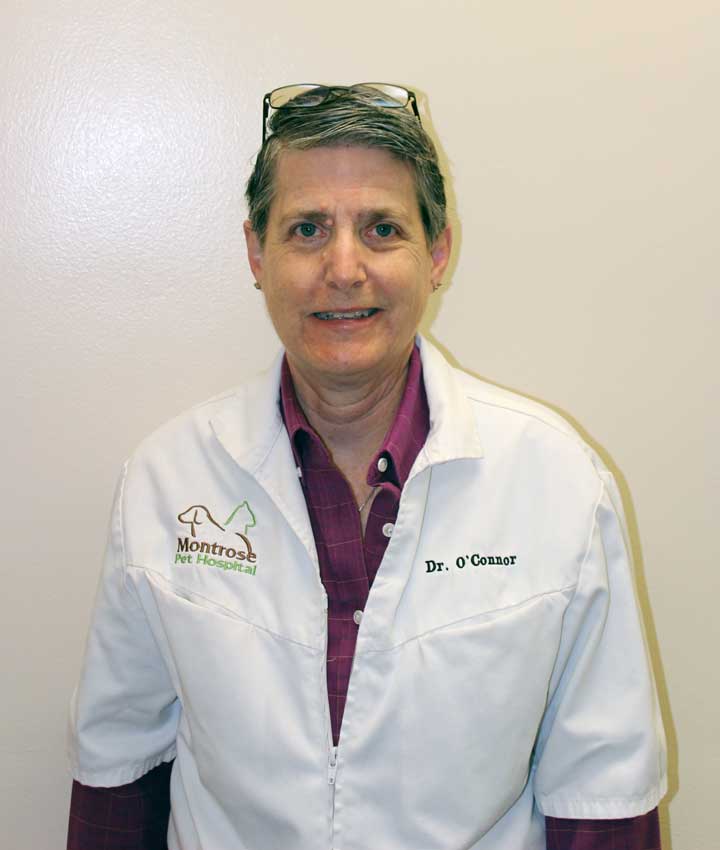 Dr. Janet O'Connor, DVM